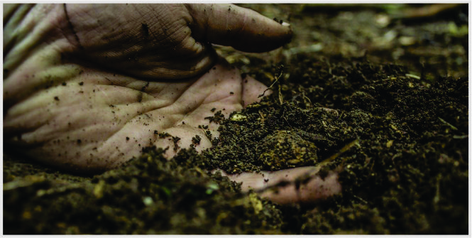 Haram Menguasai Tanah Orang Lain Visi Muslim Media