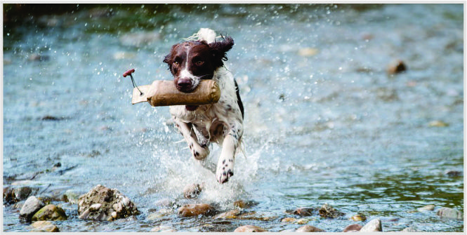 peringatan bagi pemburu dunia