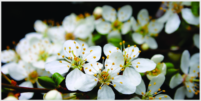 seputar aurat pria dan wanita