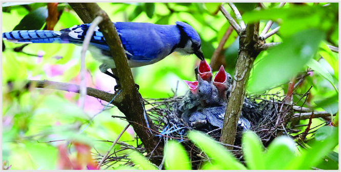 memahami istilah rezeki dan tawakal