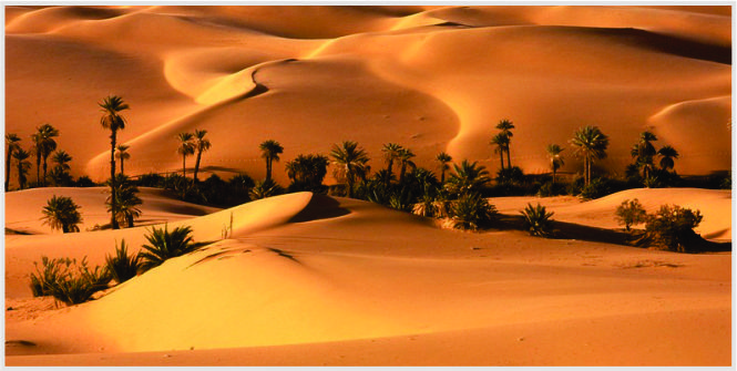 pemerintahan pasca nabi