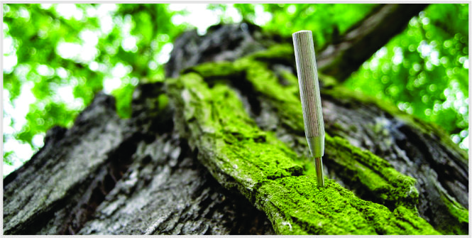 negara tidak boleh mengintervensi