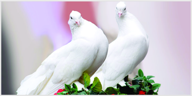 bolehkah nikah beda agama