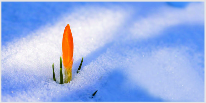 pembahasan seputar istri nusyuz