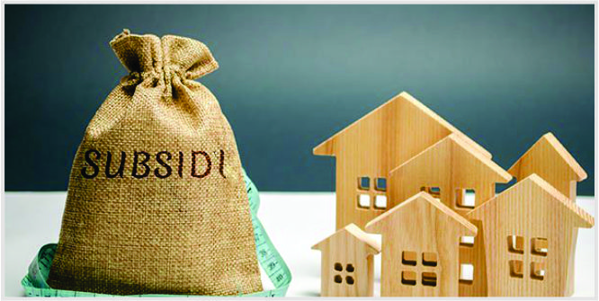 seputar subsidi negara