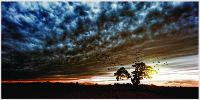 menghidupkan tanah mati