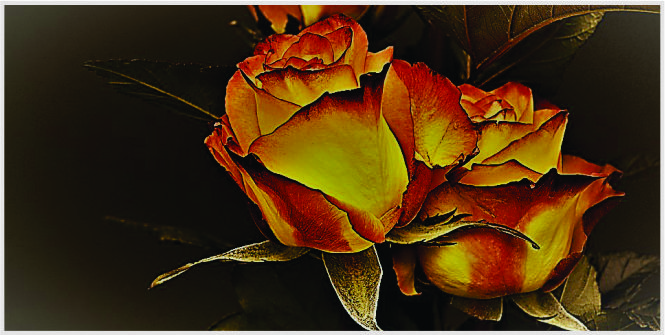 bolehkah menikahi wanita hamil