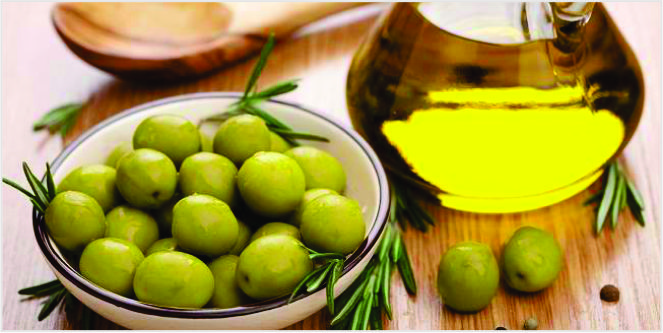 hukum berzakat dan buah zaitun